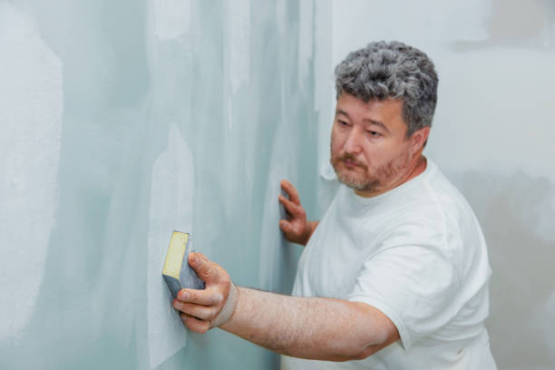 Best Drywall Sanding and Smoothing  in Burt, MI